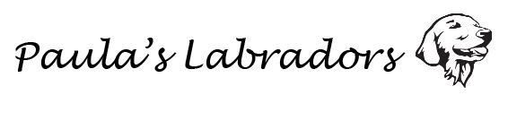 Paula's Labradors